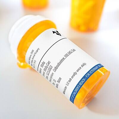 V DVM Surgery MG. Tah aillams Animal 100 7610 Carr 211 7610  
Cefpodoxime daily.  
SE) hocent EXOZLTEL once  
VETERINARY Daner orally  
FOR Prescription: 10 None tab  
REACH I 30 1/2 S uminister OF CHILDREN'S