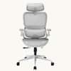 Front. SIHOO - B100 Pro Executive Chair, Office Chair With Adaptive Elastic Lumbar Support, 3D Ultra-Wide Headrest, 4D Arms - White.