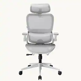 SIHOO - B100 Pro Executive Chair, Office Chair With Adaptive Elastic Lumbar Support, 3D Ultra-Wide Headrest, 4D Arms - White