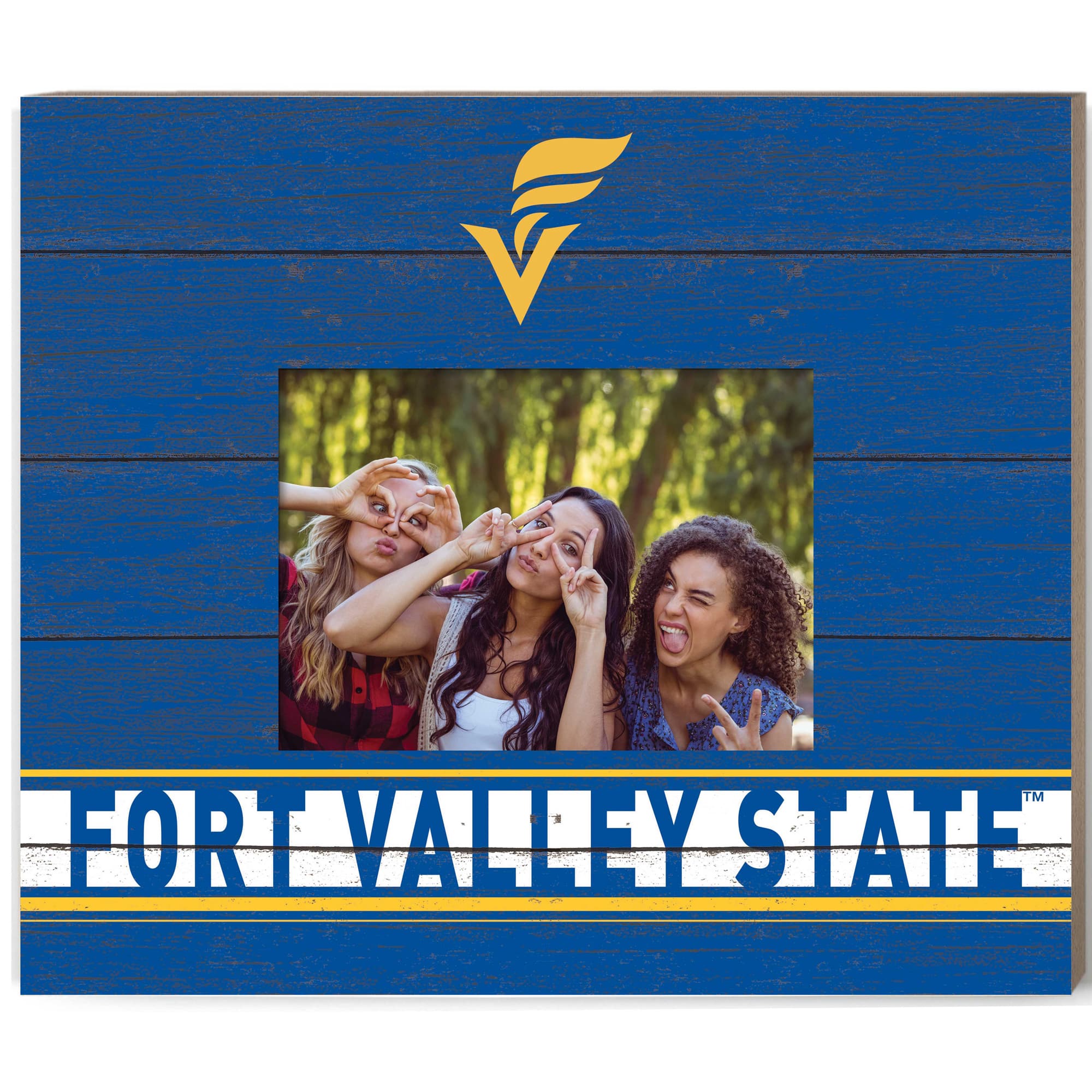 Jardine - Fort Valley State Wildcats 11'' x 13'' Team Spirit Picture Frame - Blue price history on PriceWatchPro