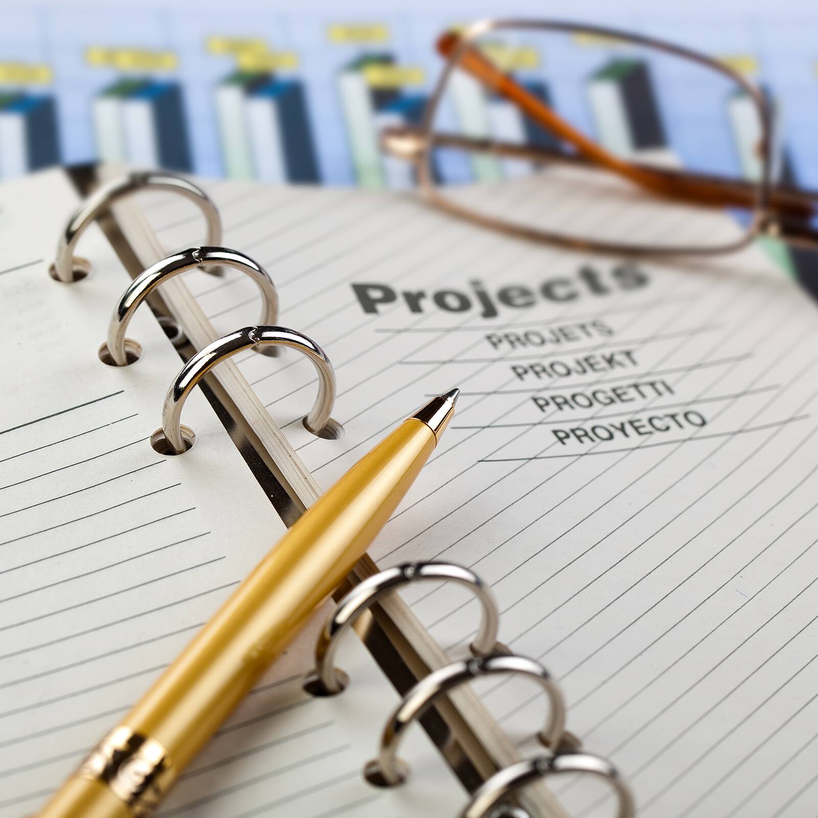Projects  
PROJETS  
PROJEKT  
PROGETTI  
PROYECTO