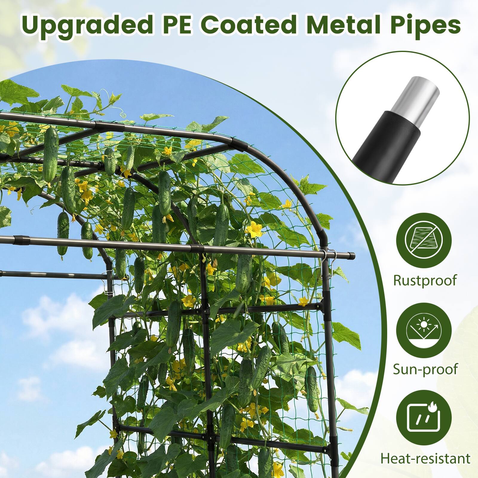 Upgraded PE Coated Metal Pipes

- Rustproof
- Sun-proof
- Heat-resistant