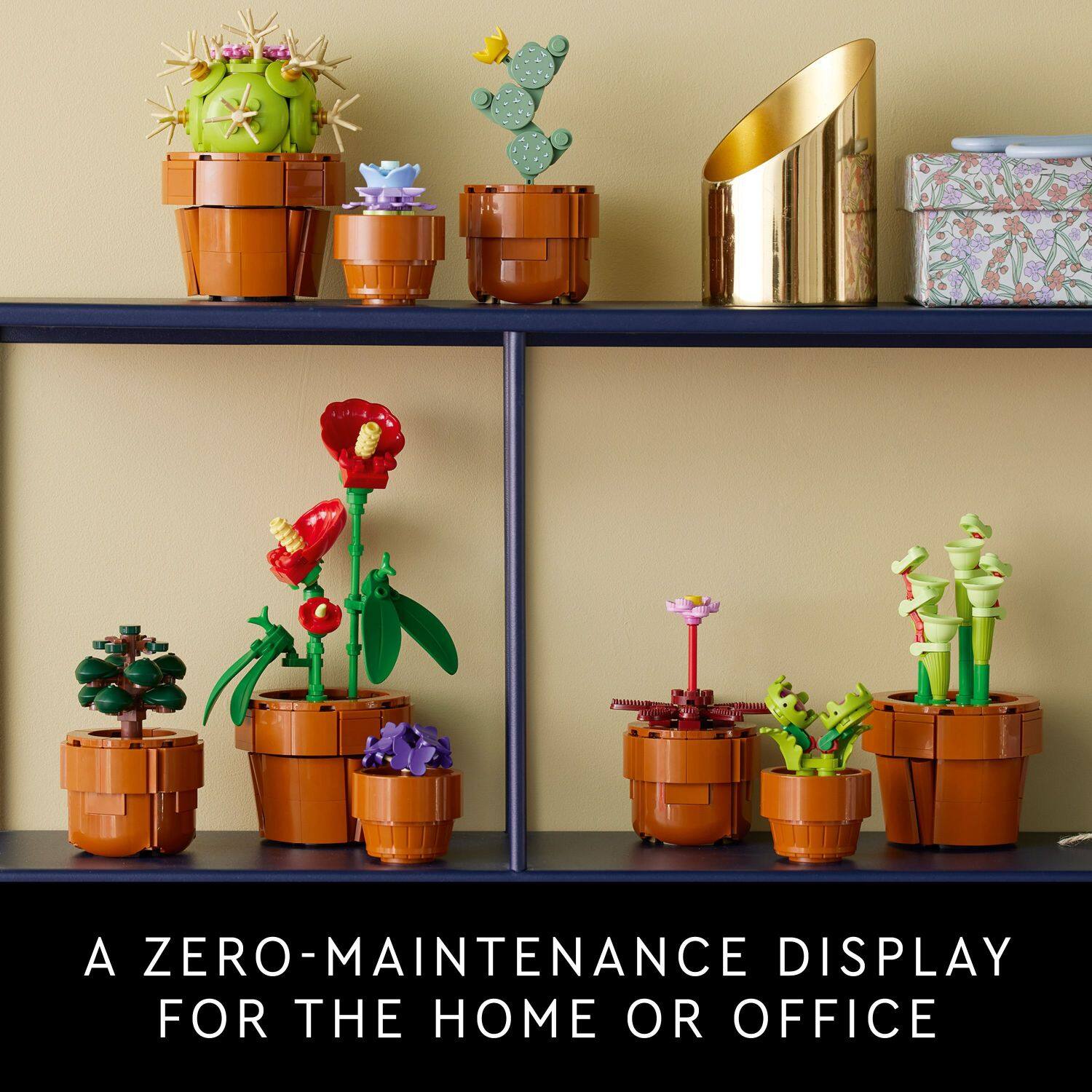 A ZERO-MAINTENANCE DISPLAY FOR THE HOME OR OFFICE