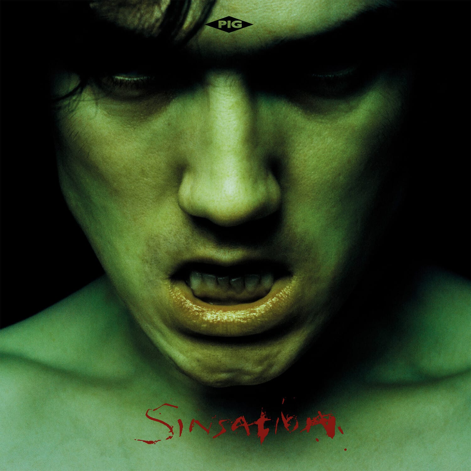 The Pig - Sinsation   - COMPACT DISCS [CD] price history on PriceWatchPro