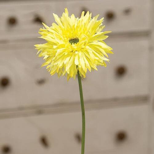 Angle. BreeBe - *Gerbera Daisy Stem Lemon Yellow - Yellow.