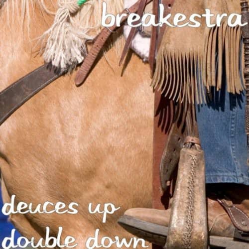 Breakestra - Deuces Up Double Down   - COMPACT DISCS [CD] price history on PriceWatchPro