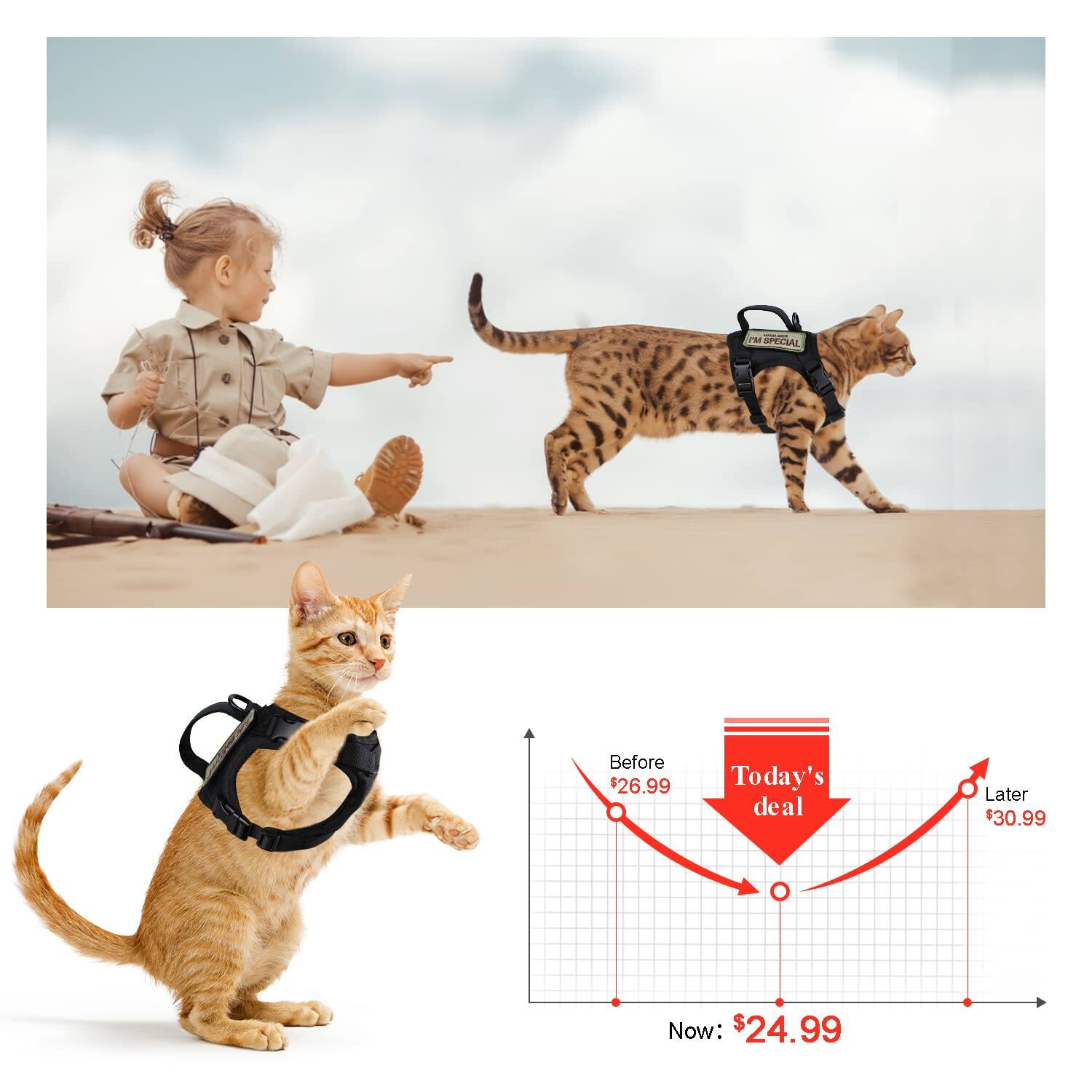 7M SPECIAL  
Before $26.99  
Today's deal  
Later $30.99  
Now: $24.99