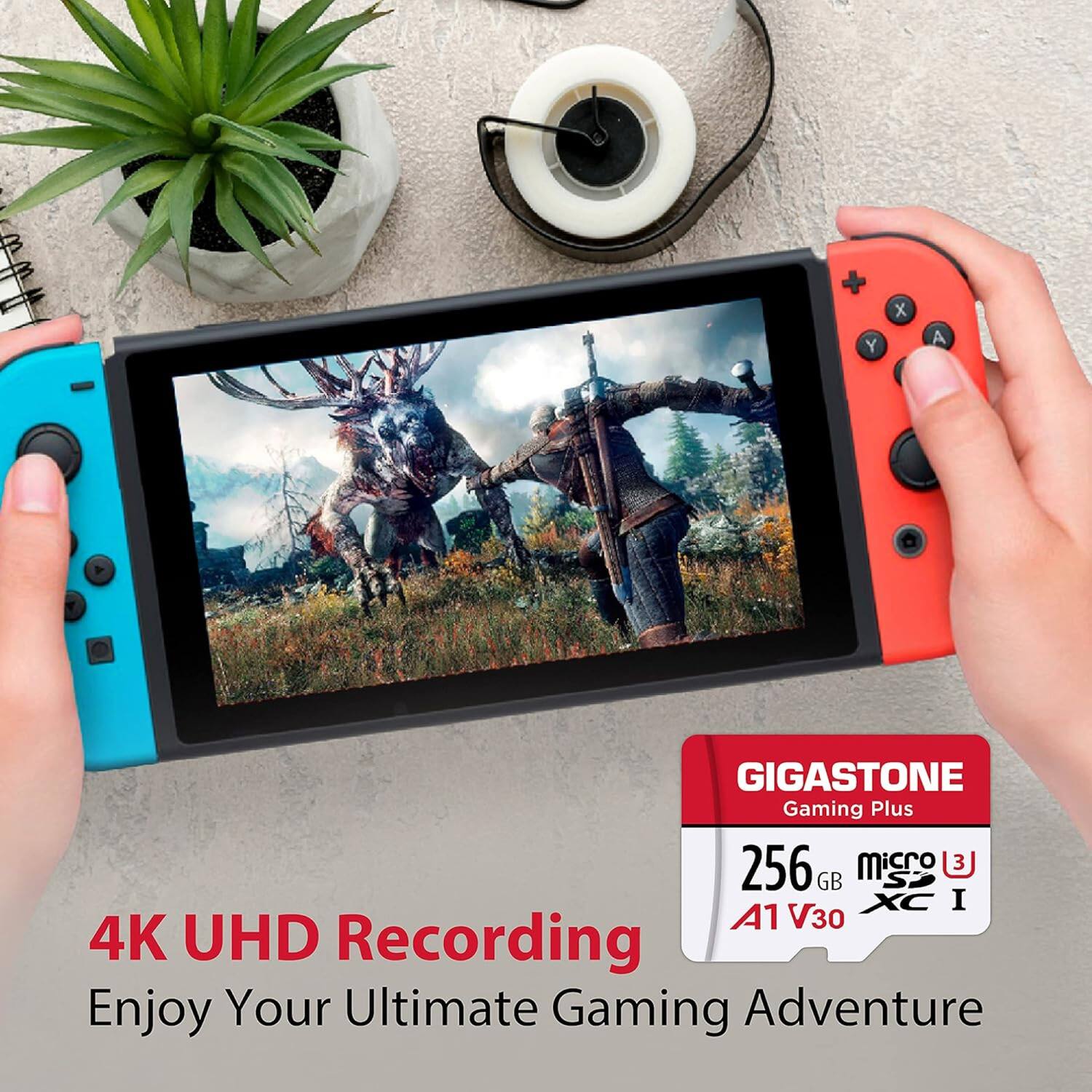 GIGASTONE Gaming Plus  
256 GB microSDXC I A1 V30  

4K UHD Recording  
Enjoy Your Ultimate Gaming Adventure