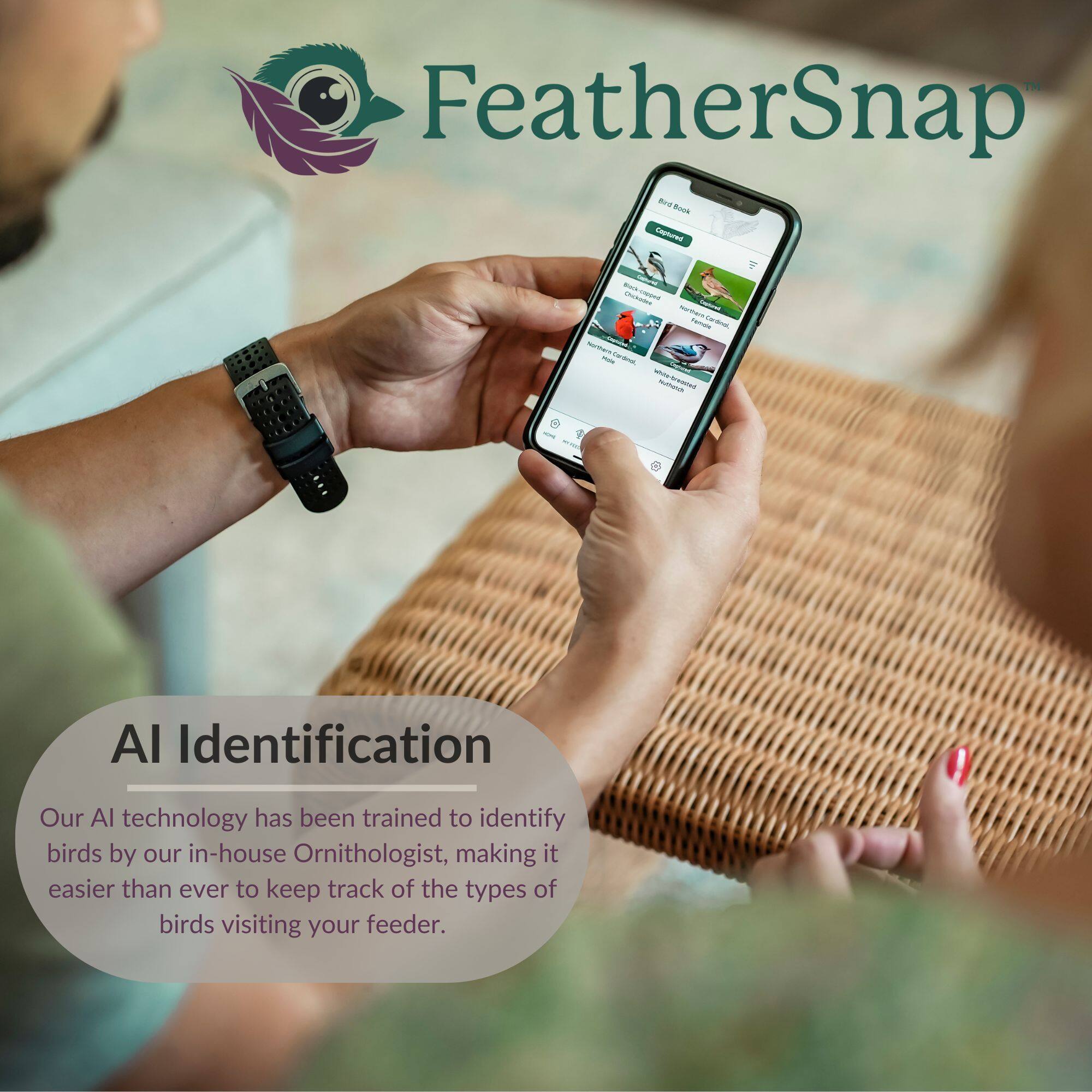 FeatherSnap

AI Identification

Our AI technology has been trained to identify birds by our in-house Ornithologist, making it easier than ever to keep track of the types of birds visiting your feeder.