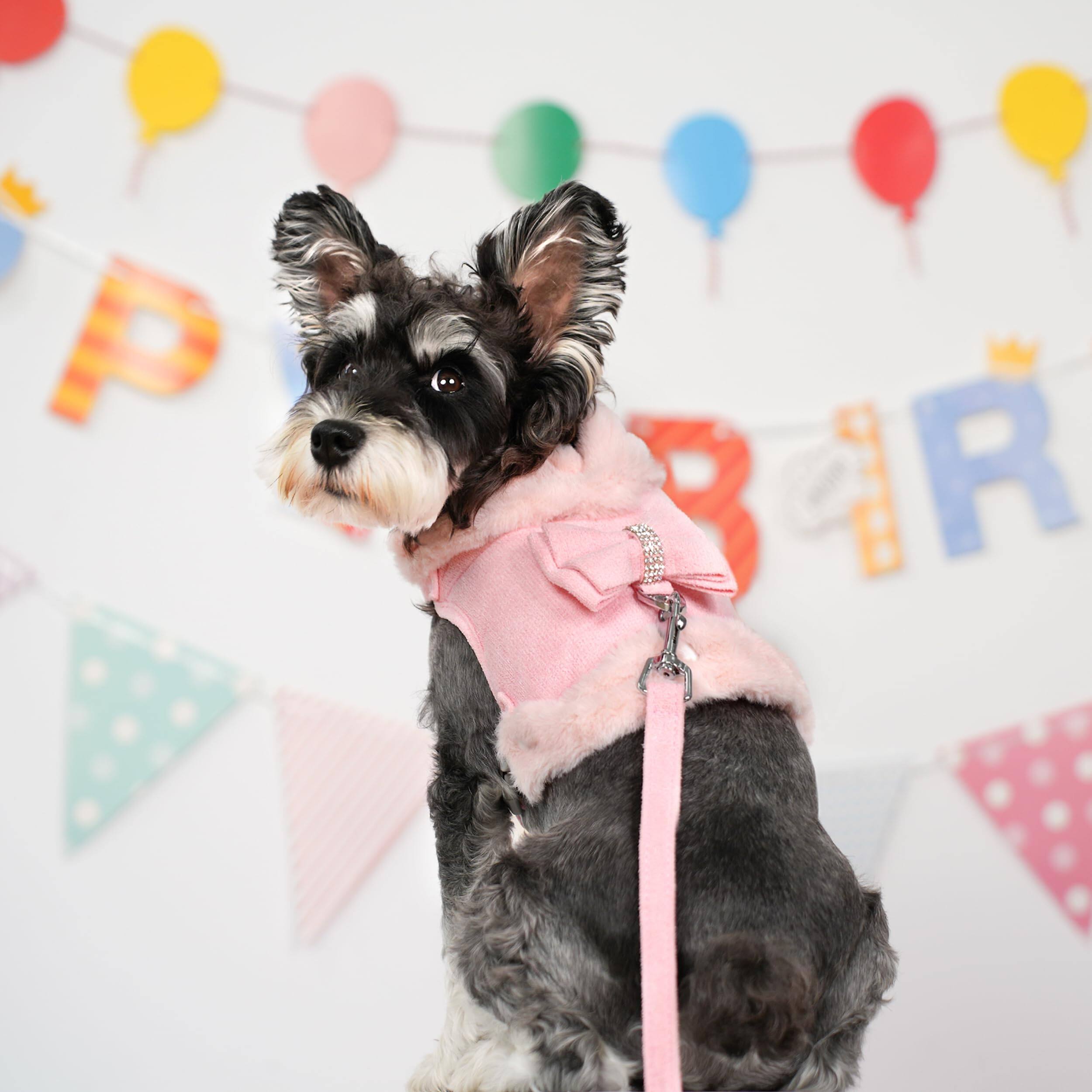 Alt View 2. Paradigms Interiors - Dog Harness And Leash Set Winter Cute With Bow Tie Soft Padded Puppy Vest Removable Plush Collar For Xs Sized - Pink-S: Chest 15-18".