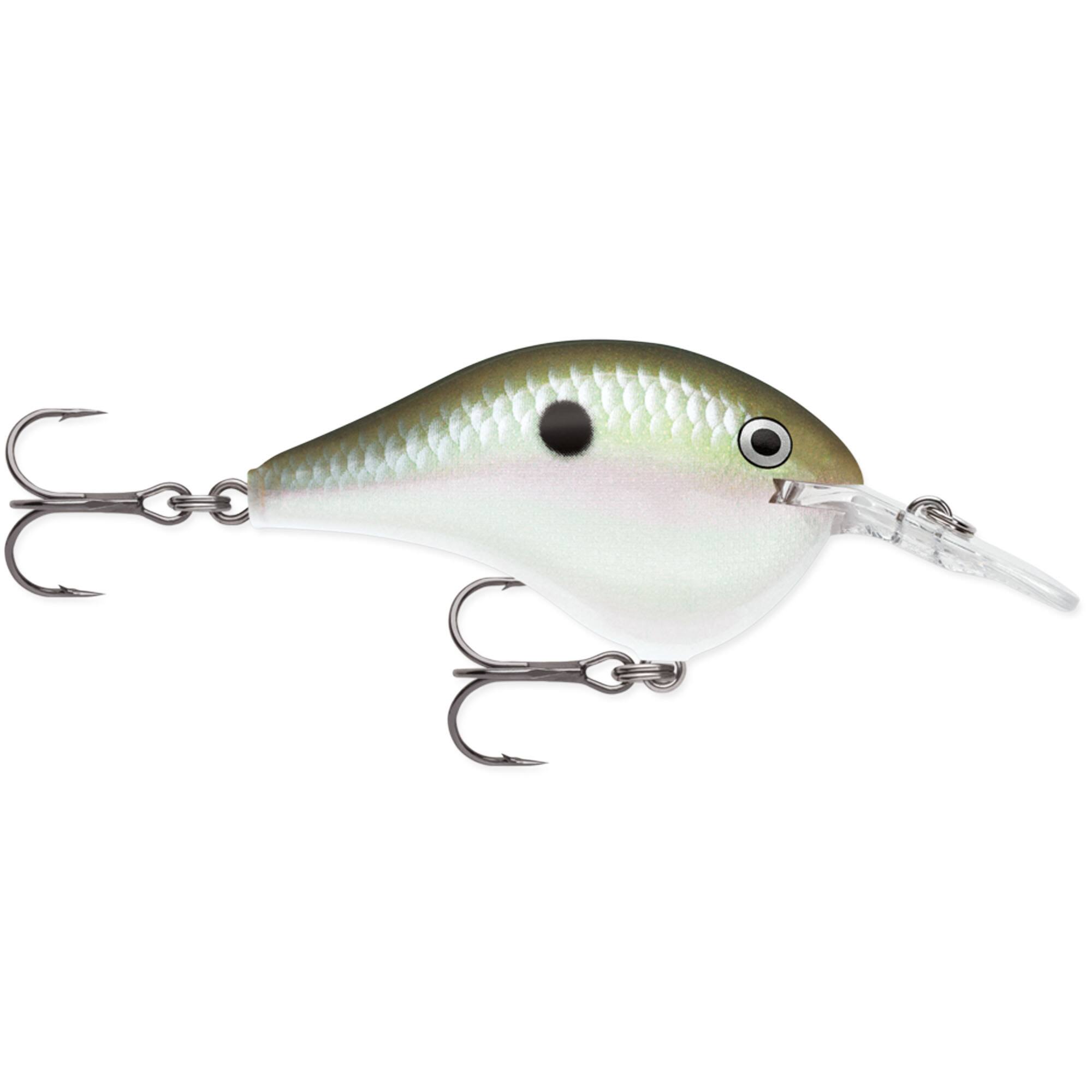Green Gizzard Shad