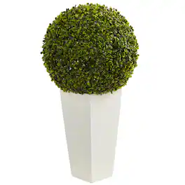 BreeBe - 28" Boxwood Topiary Ball in White Planter (Indoor/Outdoor) - Green