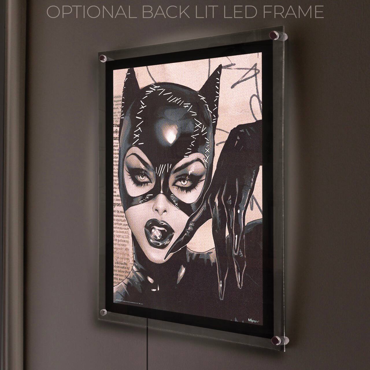 OPTIONAL BACK LIT LED FRAME