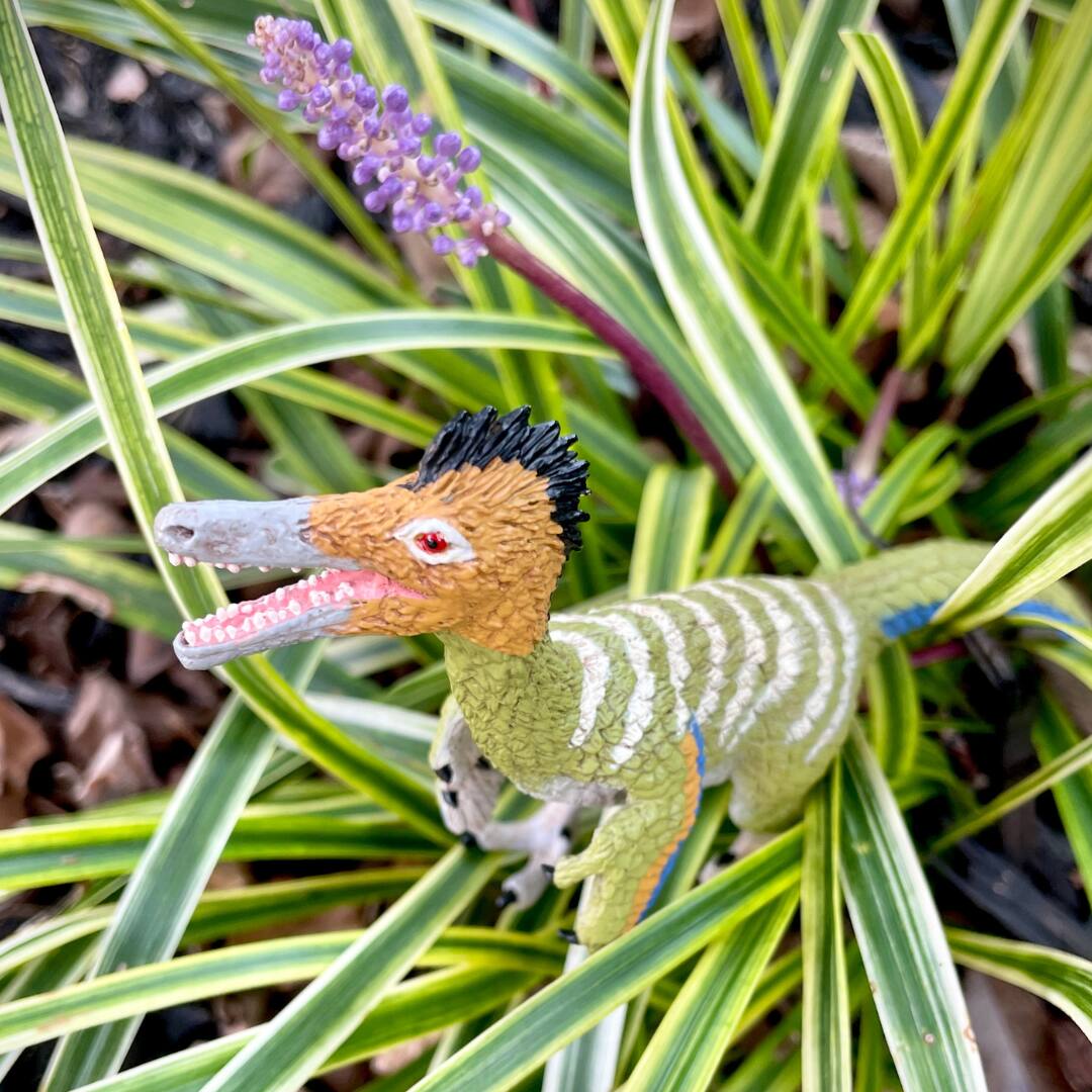 Back. Safari Ltd. - Austroraptor Toy Figurine.
