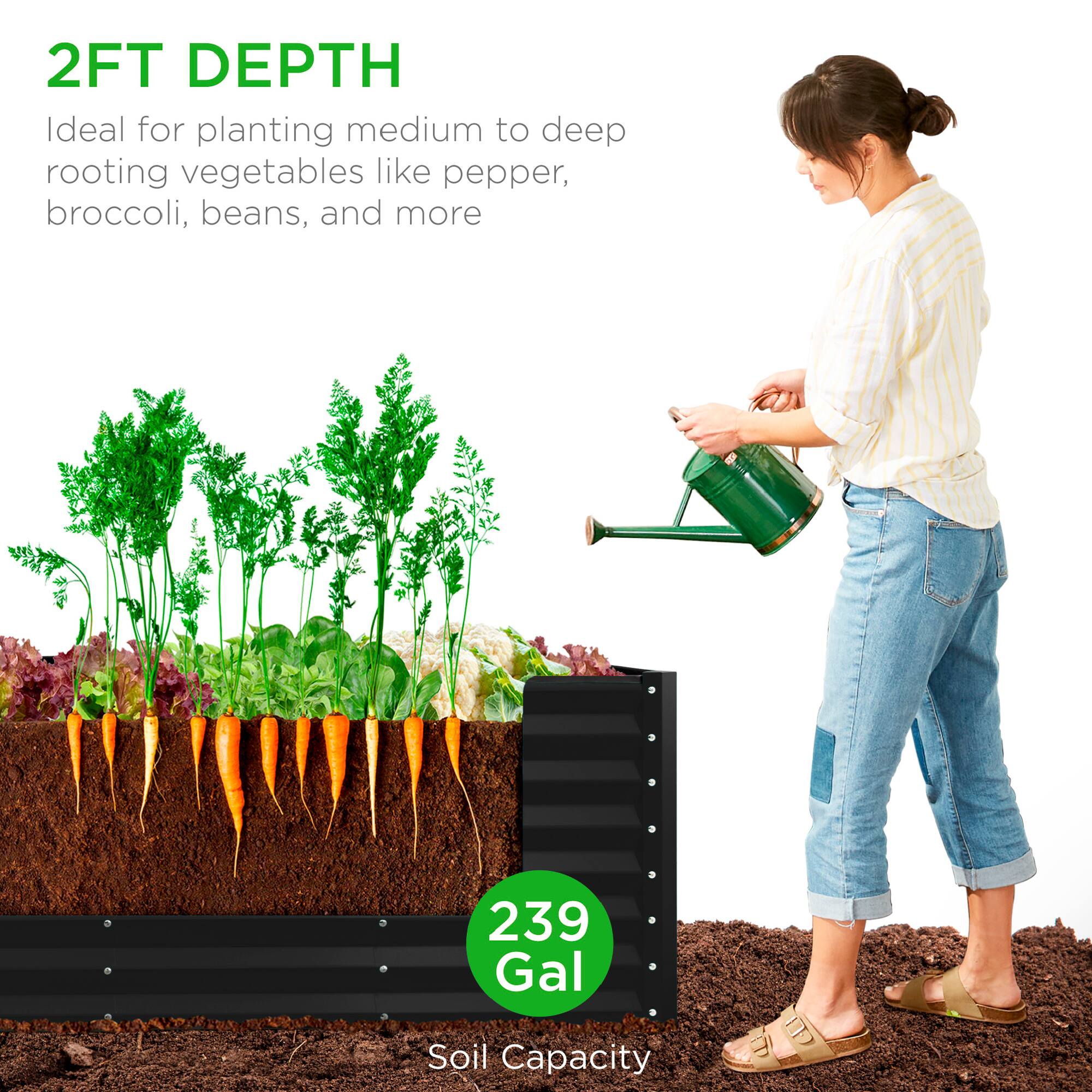 2FT DEPTH  
Ideal for planting medium to deep rooting vegetables like pepper, broccoli, beans, and more  

239 Gal  
Soil Capacity
