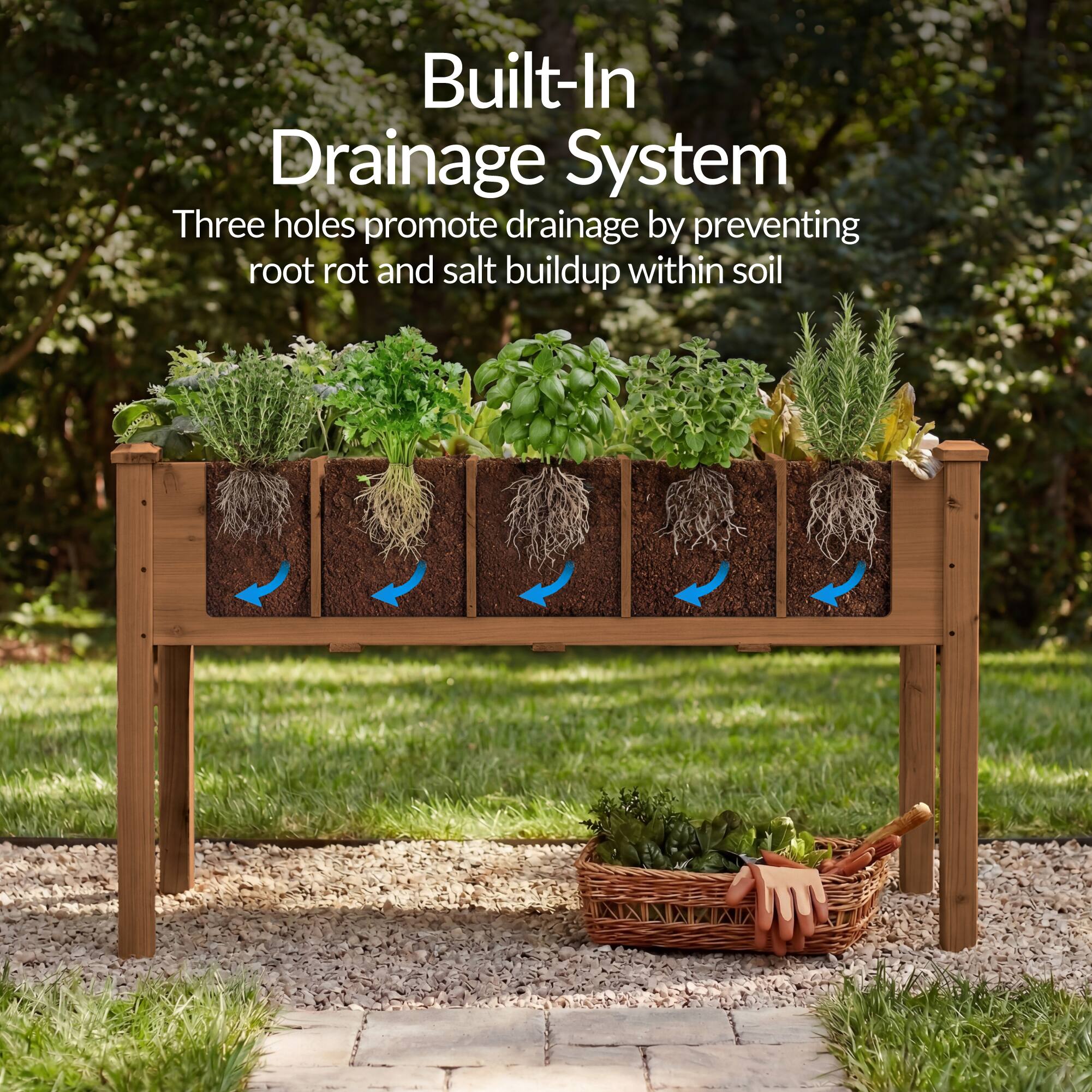 Built-In Drainage System  
Three holes promote drainage by preventing root rot and salt buildup within soil