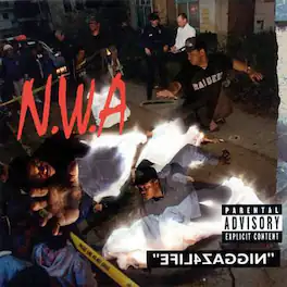 N.W.A. - Niggaz4Life - VINYL LP