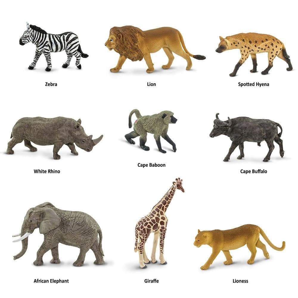 Zebra  
Lion  
Spotted Hyena  
White Rhino  
Cape Baboon  
Cape Buffalo  
African Elephant  
Giraffe  
Lioness