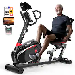 HARISON - Pro Magnetic Recumbent Bike for Adults & Seniors, Heavy-Duty 400 lb Capacity Exercise Bike (BBB8Eco) - Black