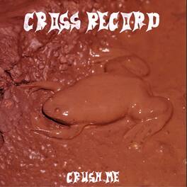 Cross Record - Crush Me - VINYL LP