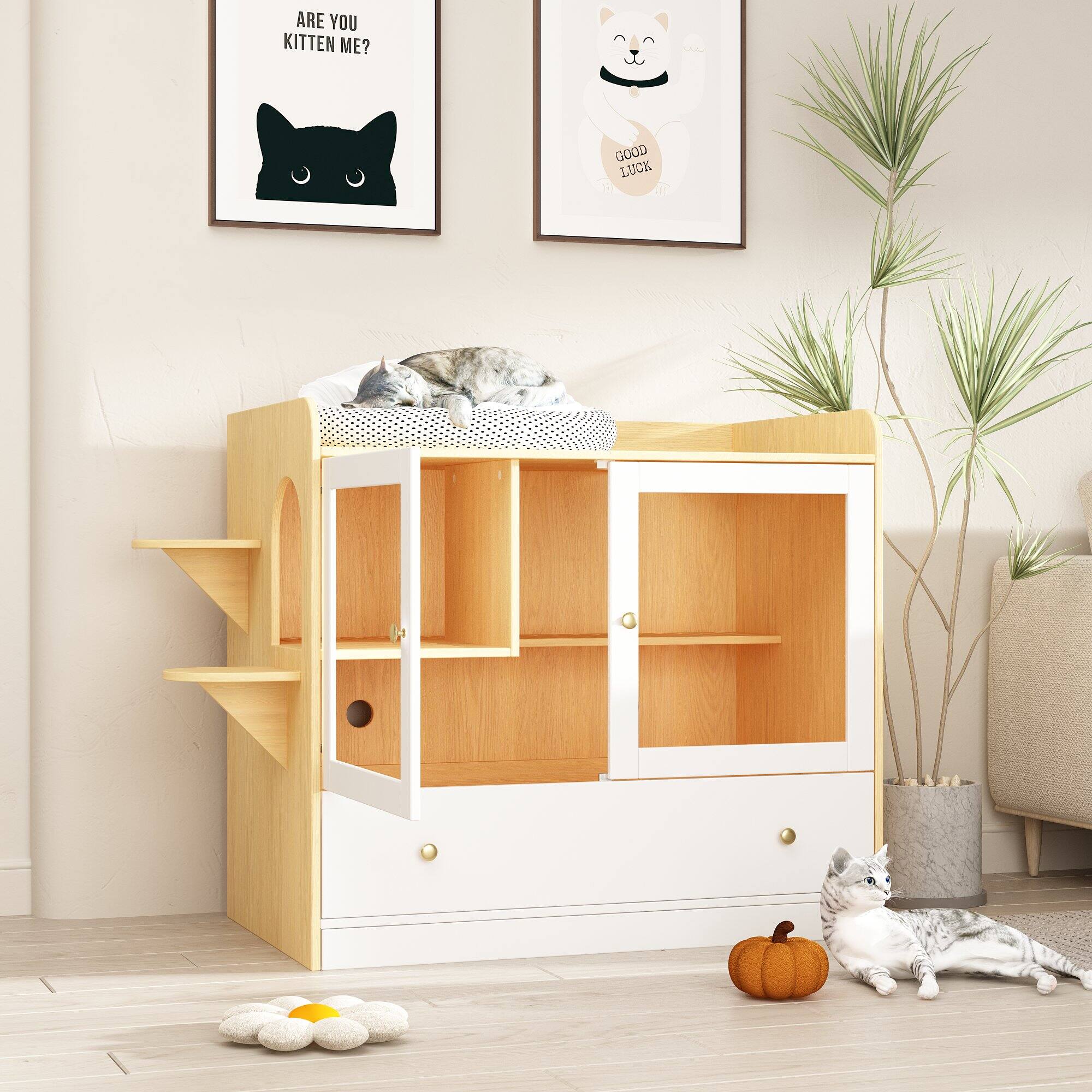 ARE YOU KITTEN ME?

GOOD LUCK