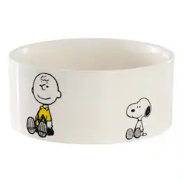 Peanuts - Charlie Brown and Friends Snack Time 6in Stoneware Pet Bowl - White and Multi