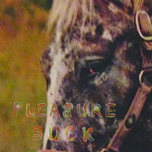 Spirit of the Beehive - Pleasure Suck   - COMPACT DISCS [CD] price history on PriceWatchPro