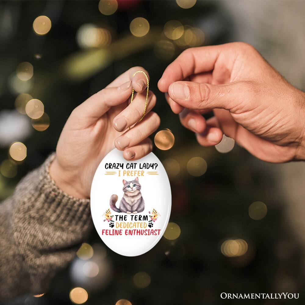 CRAZY CAT LADY?  
I PREFER THE TERM  
DEDICATED FELINE ENTHUSIAST  

ORNAMENTALLY YOU