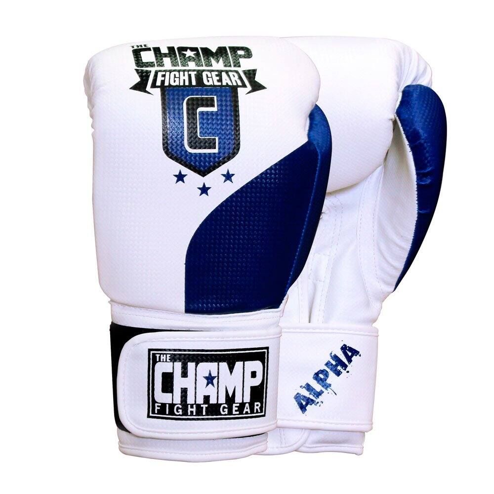 THE CHAMP FIGHT GEAR  
THE FIGHT CHAMP GEAR ALPHA