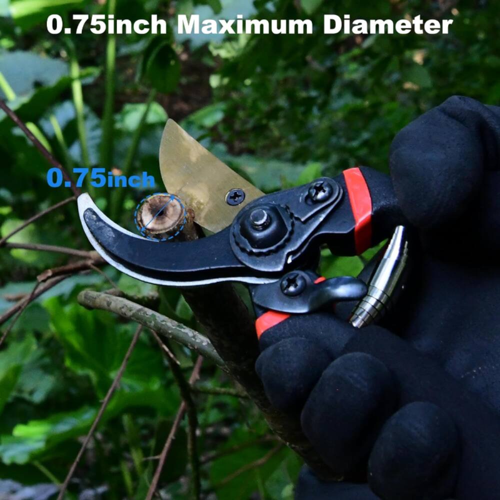 0.75inch Maximum Diameter, 0.75inch