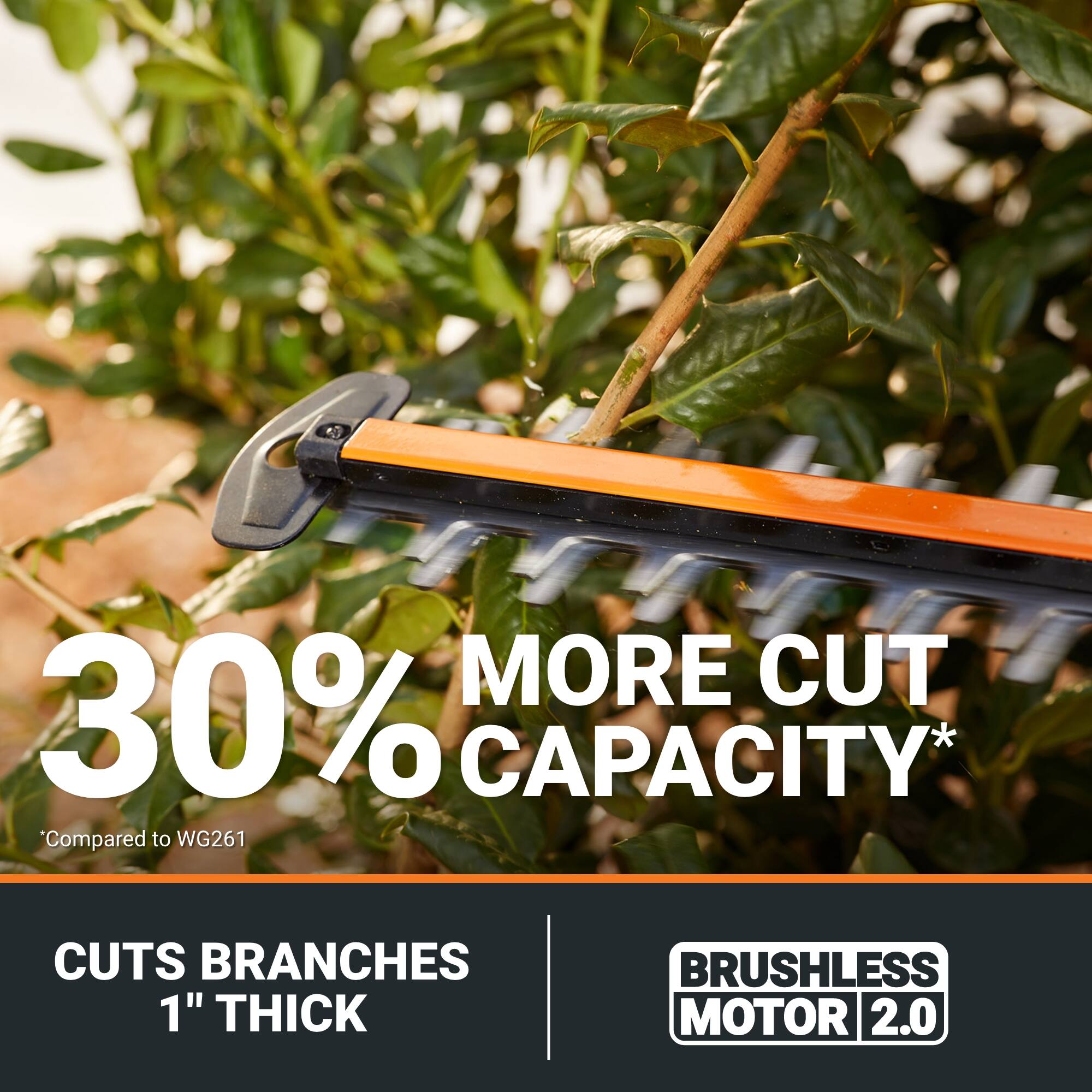 30% MORE CUT CAPACITY*  
Compared to WG261  

CUTS BRANCHES 1" THICK  

BRUSHLESS MOTOR 2.0