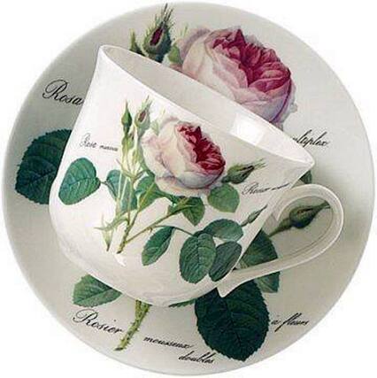 Rosa, Rosier, Lese, allplee, dbubhs