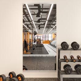 LOVMOR - 24 in. W x 48 in. H Modern Rectangle Frameless Wall-Mounted Gym Mirror Dance Mirror - Silver