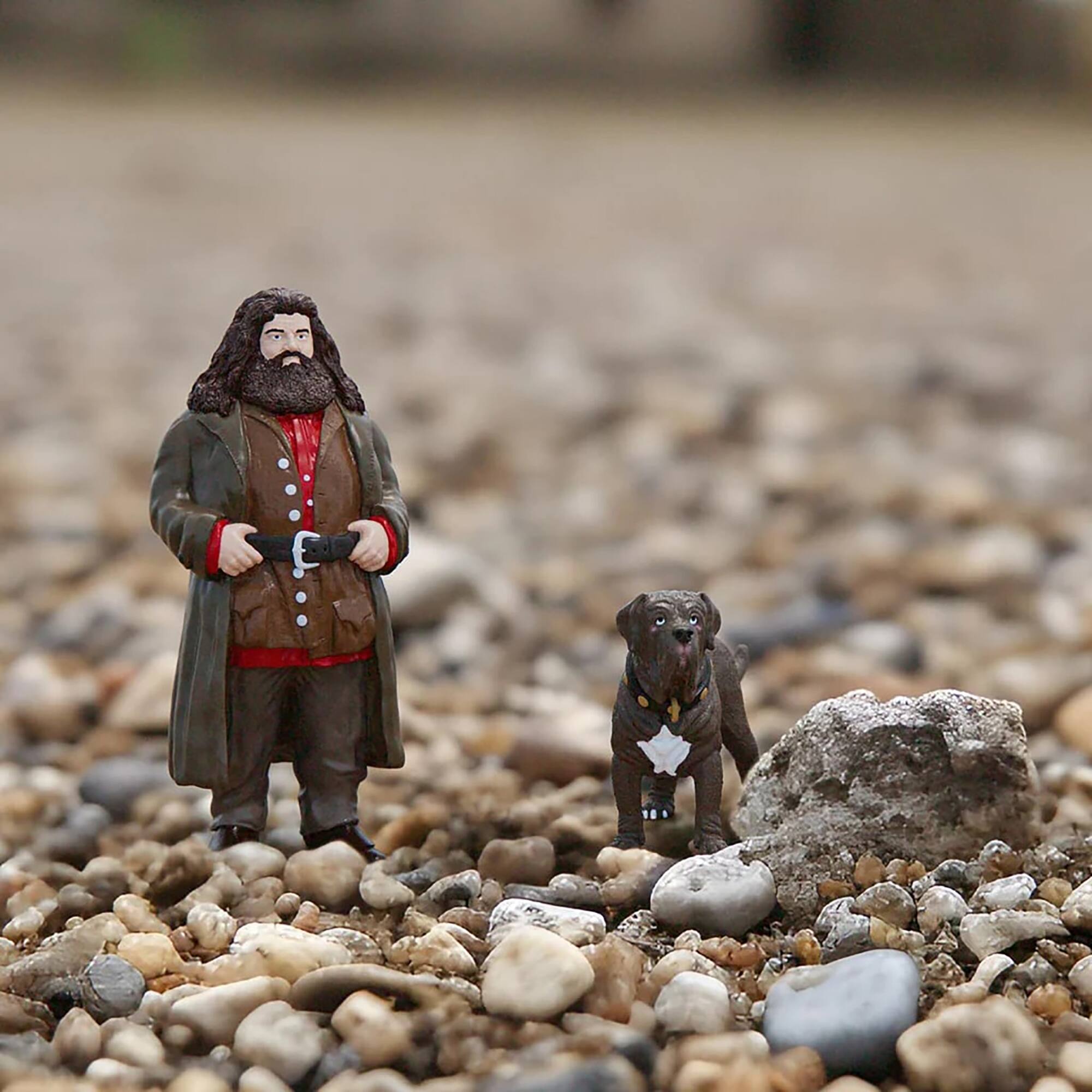 Left. Schleich - Wizarding World: Hagrid & Fang.