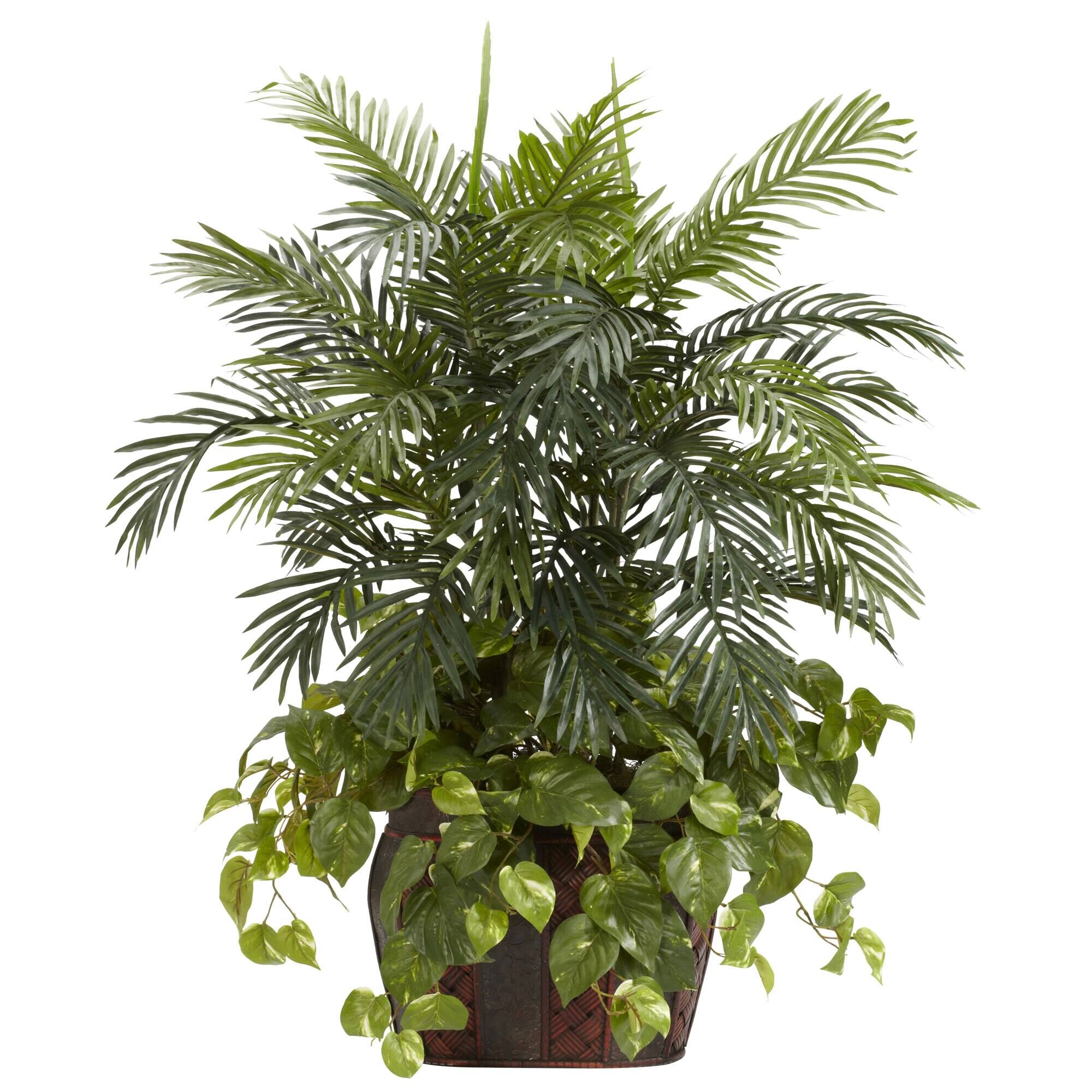 Front. BreeBe - 3.5' Double Areca w/Vase & Pothos - Green.