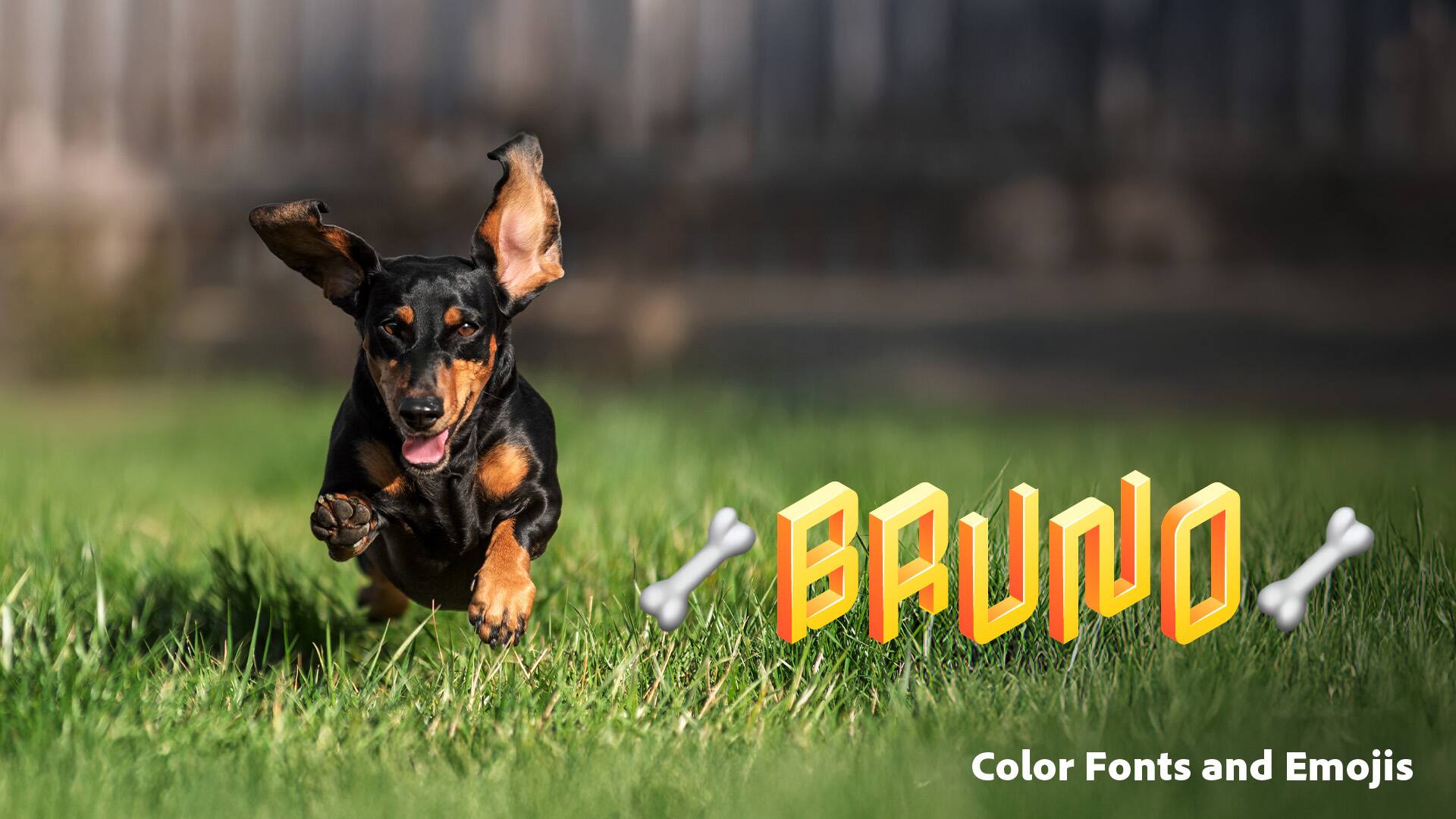 BRUNO  
Color Fonts and Emojis