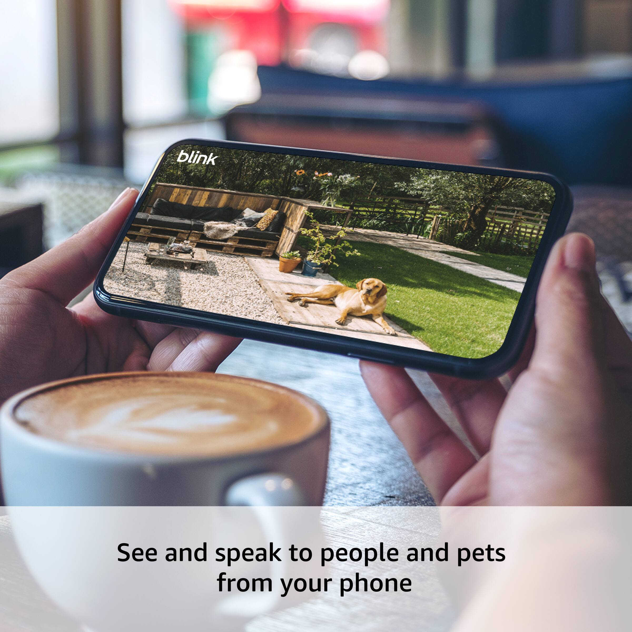 See and speak to people and pets from your phone.