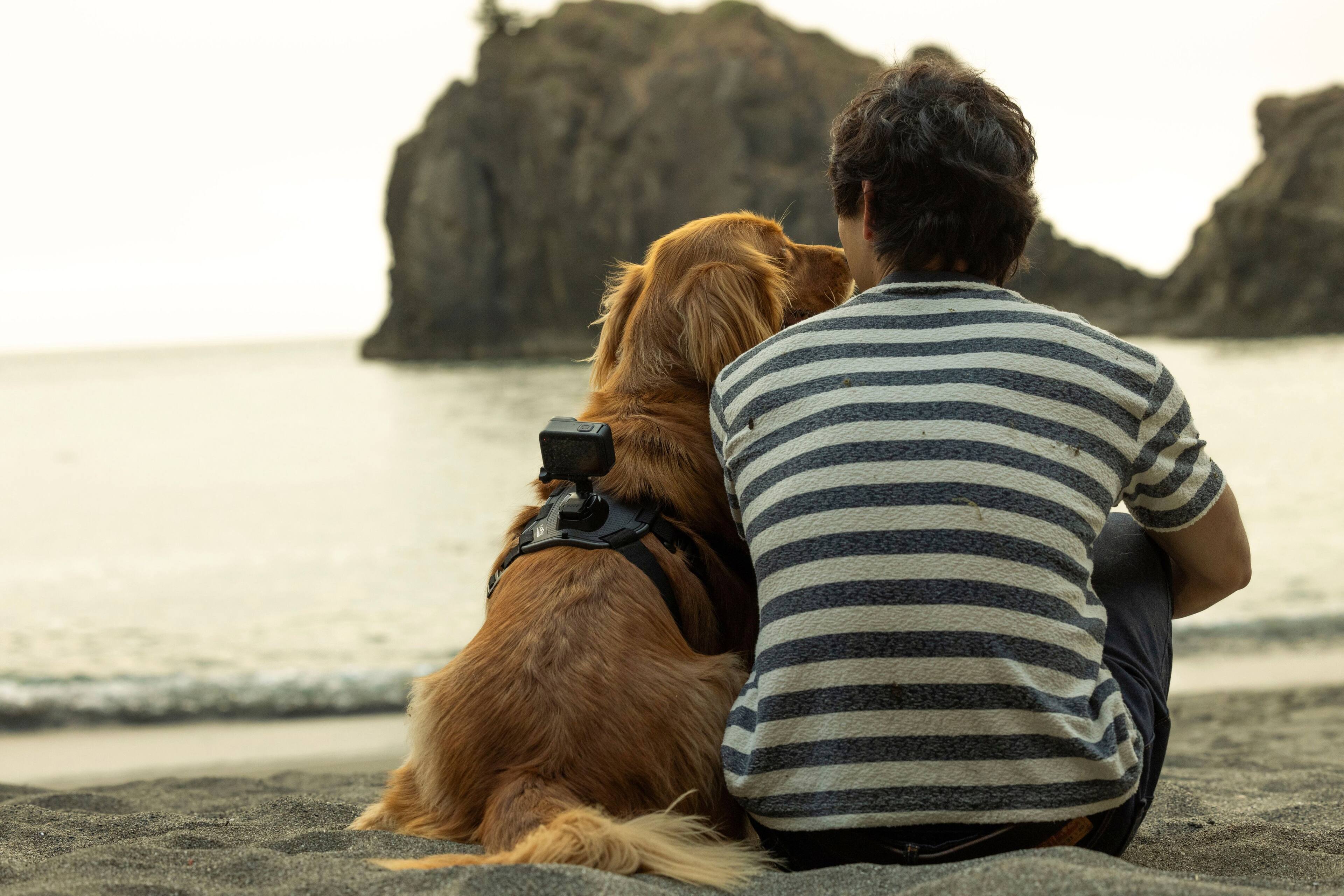 Alt View 16. GoPro - Fetch Compatible for All GoPro Cameras - Black.