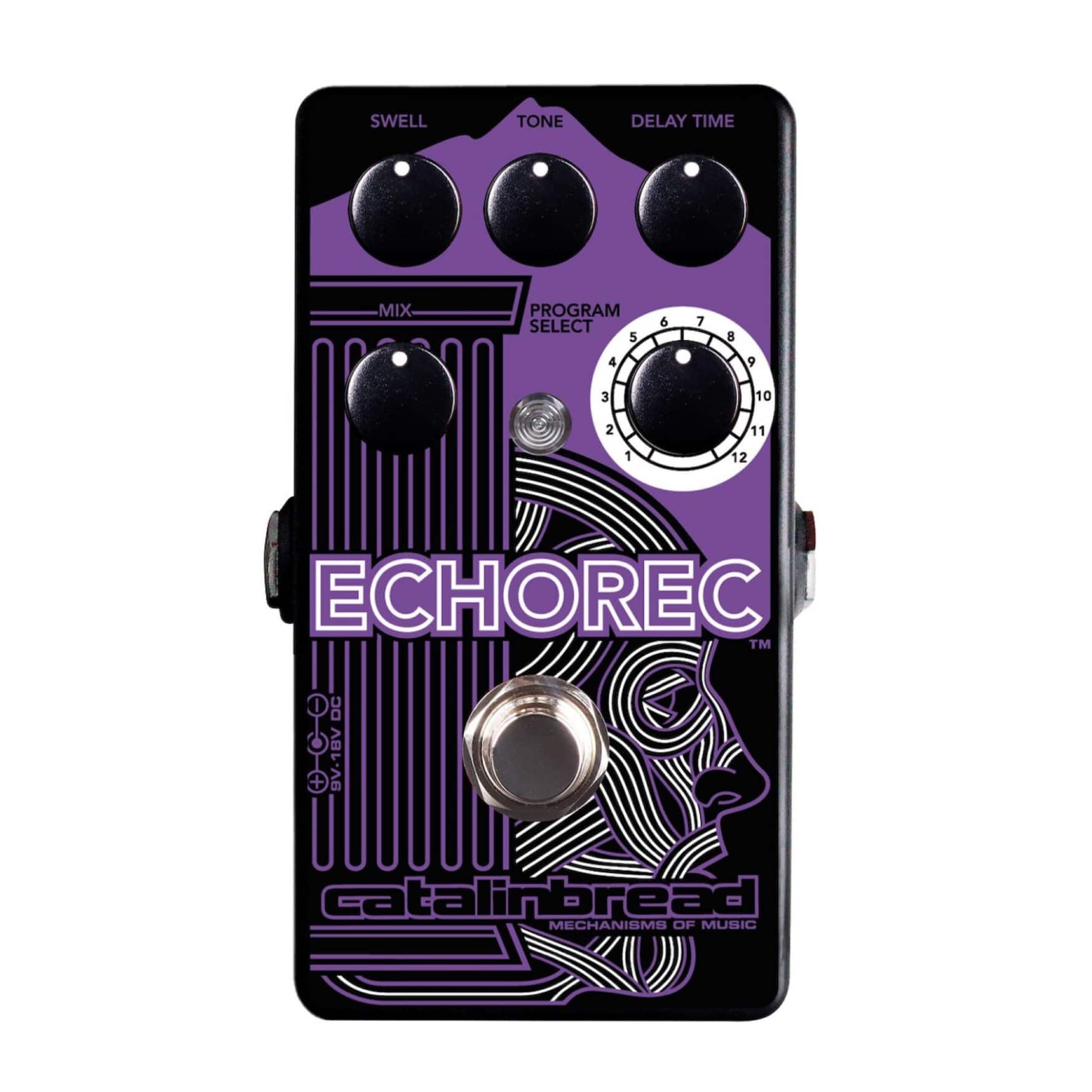 Catalinbread - ECHOREC Multi Head Delay Purple Guitar Effects Pedal - ECHORECP