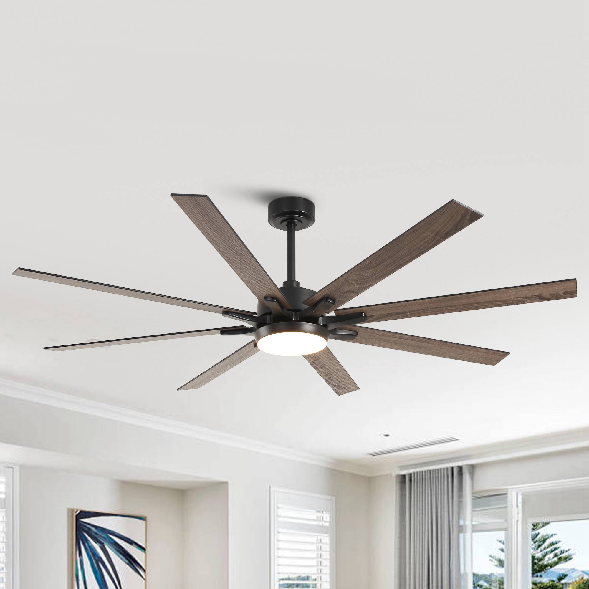 Parrot Uncle - 65-inch Indoor LED Ceiling Fan with Light and Remote Control, 8 Reversible Blades, DC Reversible Motor - Black