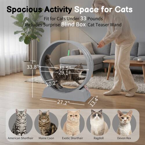 Spacious Activity Space for Cats  
Fit for Cats Under 33 Pounds  
Includes Surprise Blind Box Cat Teaser Wand  

33.8"  
31.5"  
29.1"  
10.2"  
27.2"  
13.4"  

American Shorthair  
Maine Coon  
Exotic Shorthair  
Ragdoll  
Devon Rex