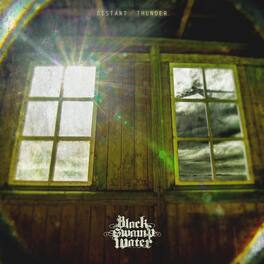 Black Swamp Water - Distant Thunder - VINYL LP