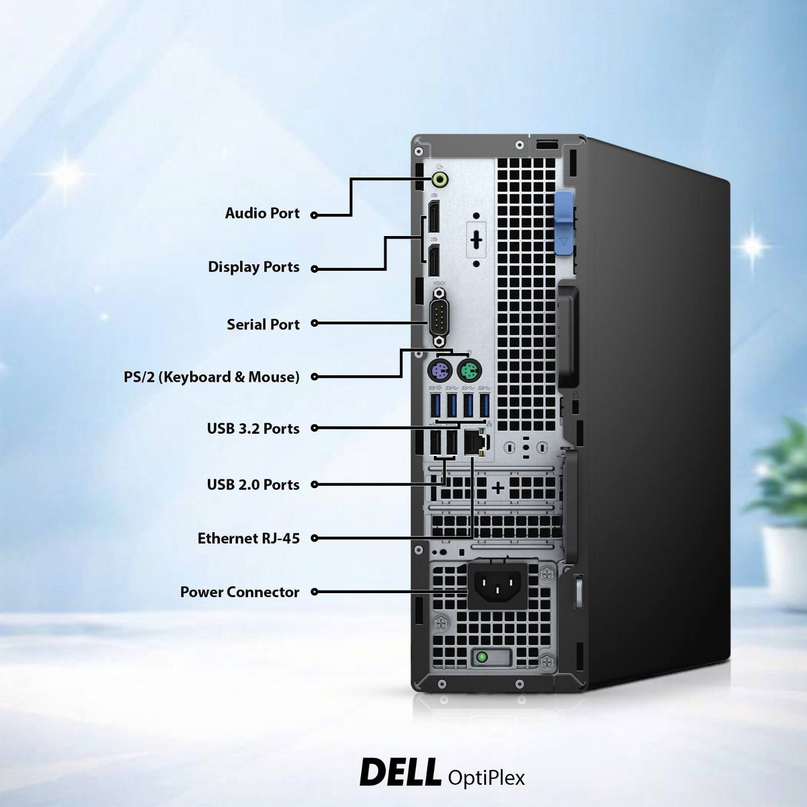 Audio Port  
Display Ports  
Serial Port  
PS/2 (Keyboard & Mouse)  
USB 3.2 Ports  
USB 2.0 Ports  
Ethernet RJ-45  
Power Connector  

DELL OptiPlex