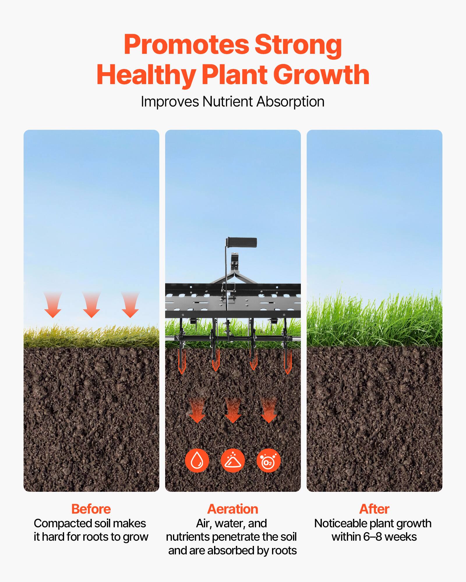 Promotes Strong Healthy Plant Growth  
Improves Nutrient Absorption  

Before  
Compacted soil makes it hard for roots to grow  

Aeration  
Air, water, and nutrients penetrate the soil and are absorbed by roots  

After  
Noticeable plant growth within 6-8 weeks