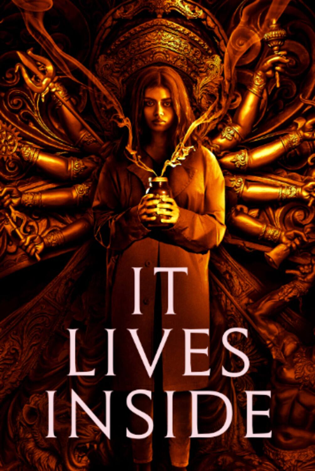 It Lives Inside - DVD