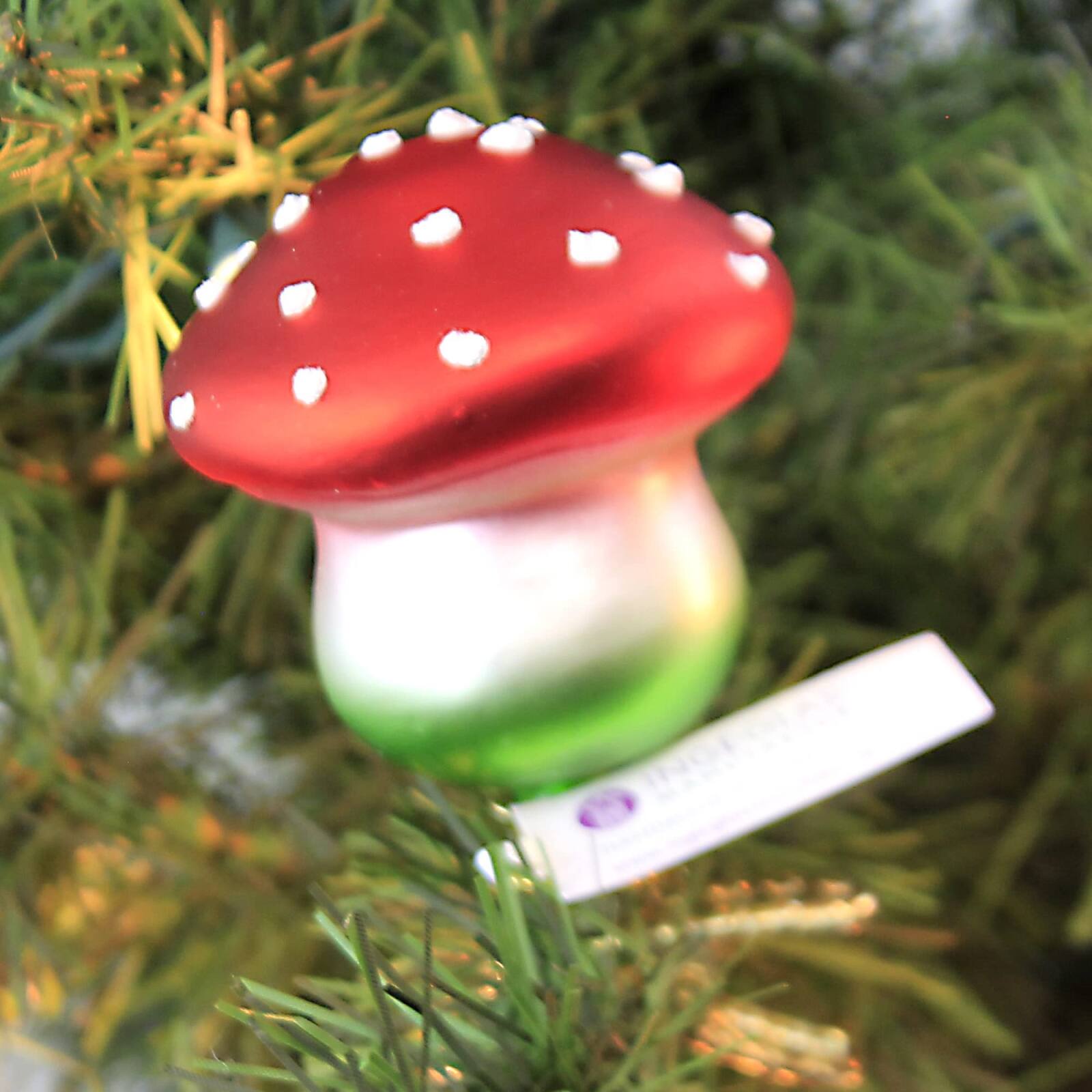 Angle. Inge Glas - Inge Glas Lucky Charm Mushroom German Glass Christmas Ornament FREE BOX - Red.
