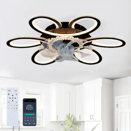 Front. LUCKY ONE - 25" Low Profile Ceiling Fan with Light Remote APP 5 Blades DC Motor - Matte Black.