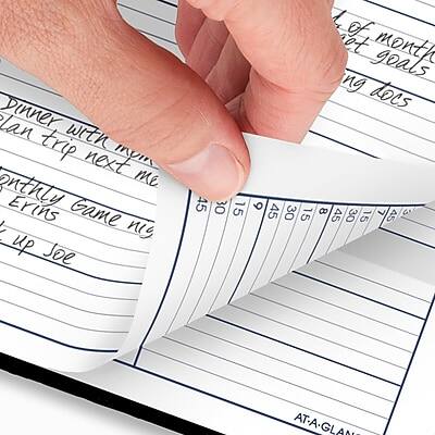 Sure, here is the corrected and grouped text:

**Monthly Goals:**
- Dinner with my mom
- Plan trip next month
- Quarterly Erin's Game
- Catch up with Joe

**Goals:**
- 45
- 30
- 15
- 6
- 45
- 30
- 8
- 7
- 6
- 15
- 45
- 30
- 15
- 45

**AT-A-GLANCE**