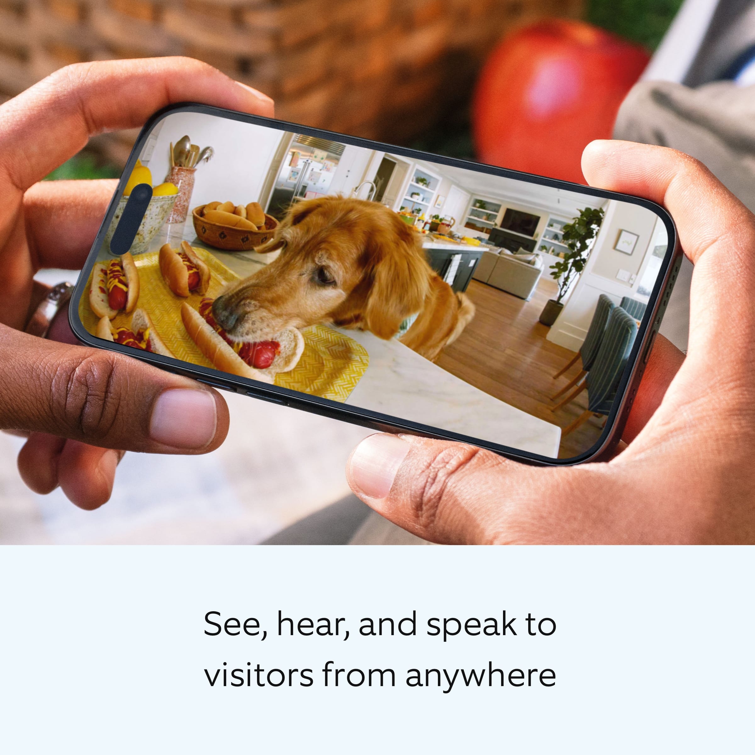 See, hear, and speak to visitors from anywhere.