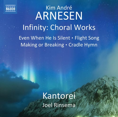 Arnesen / Fanslow / Rinsema - Infinity  - COMPACT DISCS